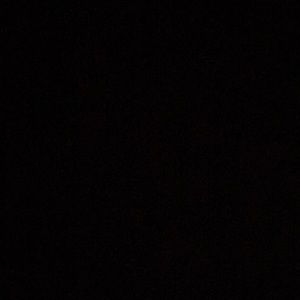 Meet your Posher, Taryn